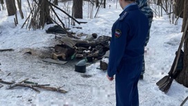 Мужчина ранил топором двух человек в парке на севере Москвы Мужчина ранил топором двух человек в парке на севере Москвы