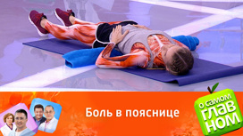 Фитнес-упражнения для офиса от болей спины Фитнес-упражнения для офиса от болей спины