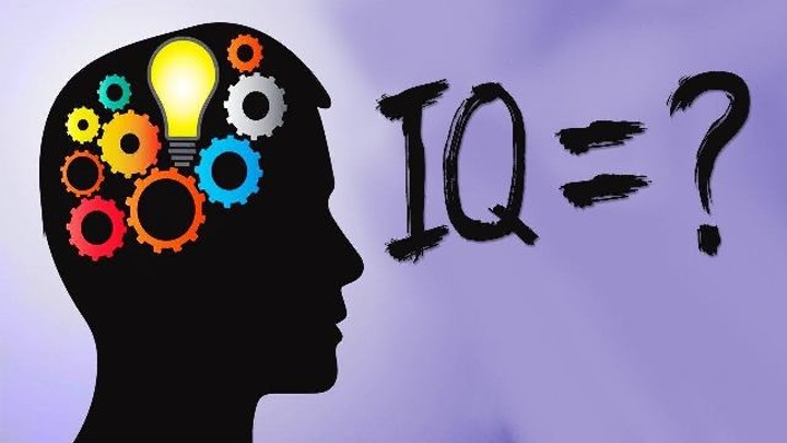 Показатели IQ в США упали впервые за столетие Показатели IQ в США упали впервые за столетие