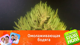 Эффективная космецевтика. Врач рекомендовал аптечные средства для красоты Эффективная космецевтика. Врач рекомендовал аптечные средства для красоты