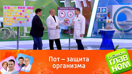 О чем говорит запах пота О чем говорит запах пота