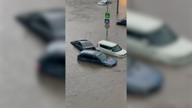 Коломну затопило: из-за ливня тонут машины и падают деревья Коломну затопило: из-за ливня тонут машины и падают деревья