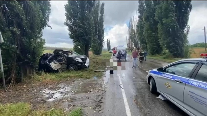 Ребенок и двое взрослых погибли в ДТП в Ростовской области Ребенок и двое взрослых погибли в ДТП в Ростовской области