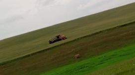 Красноярский комбайнер устроил погоню за детьми по полю Красноярский комбайнер устроил погоню за детьми по полю