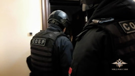 Все пошло не по плану: «черные лесорубы» против хищного покровителя Все пошло не по плану: «черные лесорубы» против хищного покровителя