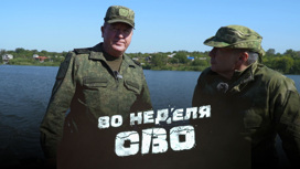 ВС России уничтожили 625 боевиков ВСУ ВС России уничтожили 625 боевиков ВСУ