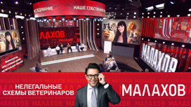Остерегайтесь черных ветеринаров: правила, которые спасут ваших домашних любимцев Остерегайтесь черных ветеринаров: правила, которые спасут ваших домашних любимцев