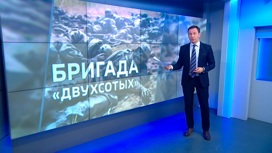 ВС РФ почти полностью уничтожили один из десантных батальонов ВСУ в ДНР ВС РФ почти полностью уничтожили один из десантных батальонов ВСУ в ДНР