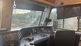 В Подмосковье подростки разгромили электричку и распылили газ в машиниста В Подмосковье подростки разгромили электричку и распылили газ в машиниста