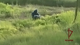 В Рязанской области пресекли теракт с применением БПЛА на военном объекте В Рязанской области пресекли теракт с применением БПЛА на военном объекте