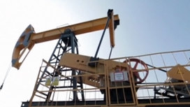 Страны G7 готовы снизить потолок цен на российскую нефть без участия США Страны G7 готовы снизить потолок цен на российскую нефть без участия США