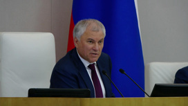 Володин обвинил власти ФРГ во втягивании страны в вооруженный конфликт с Россией Володин обвинил власти ФРГ во втягивании страны в вооруженный конфликт с Россией