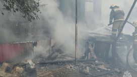В Оренбургской области молния попала в частный дом, погибла женщина В Оренбургской области молния попала в частный дом, погибла женщина