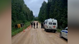 Автобус с детьми опрокинулся в Новгородской области Автобус с детьми опрокинулся в Новгородской области