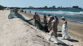 На побережье Анапы зафиксированы новые мелкие выбросы мазута На побережье Анапы зафиксированы новые мелкие выбросы мазута