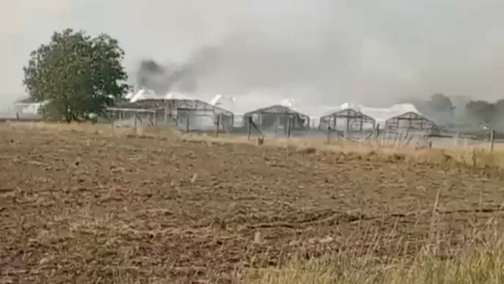 В Херсонской области ВСУ дронами подожгли теплицы и посевы В Херсонской области ВСУ дронами подожгли теплицы и посевы
