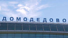 Каменщик обжаловал решение суда о передаче государству аэропорта Домодедово Каменщик обжаловал решение суда о передаче государству аэропорта Домодедово