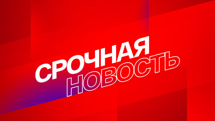 Владелец «Торпедо» Соболев арестован на два месяца