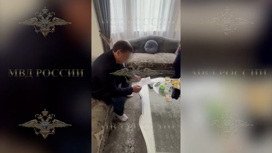 Адвокат владельца «Торпедо»: защита будет обжаловать решение суда Адвокат владельца «Торпедо»: защита будет обжаловать решение суда