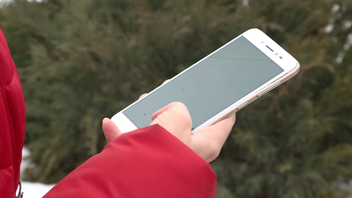 В России создадут единую базу IMEI для борьбы с кибермошенниками и контрабандой В России создадут единую базу IMEI для борьбы с кибермошенниками и контрабандой
