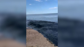 Слив неизвестной черной жидкости в озеро Ханка попал на видео Слив неизвестной черной жидкости в озеро Ханка попал на видео