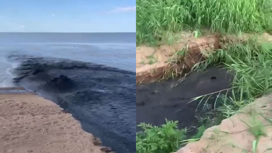 Слив неизвестной черной жидкости в озеро Ханка попал на видео Слив неизвестной черной жидкости в озеро Ханка попал на видео