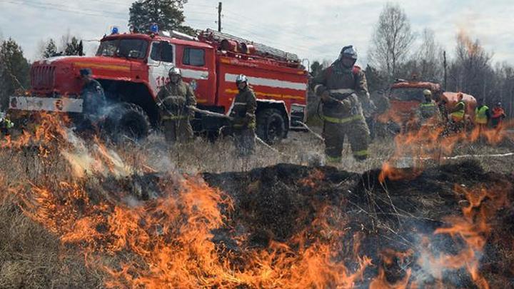 Площадь лесных пожаров в Бурятии выросла почти до 80 тысяч гектаров Площадь лесных пожаров в Бурятии выросла почти до 80 тысяч гектаров