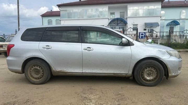 Убегавший от лошадей ребенок попал под машину в Якутии Убегавший от лошадей ребенок попал под машину в Якутии