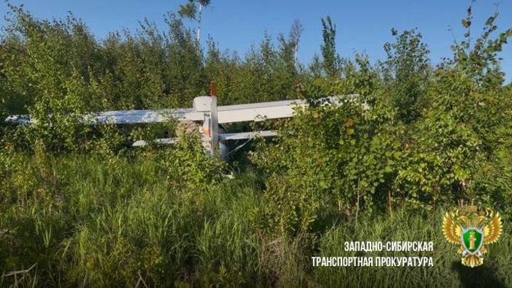 Совершивший жесткую посадку в Томской области гидроплан мог столкнуться с птицей Совершивший жесткую посадку в Томской области гидроплан мог столкнуться с птицей