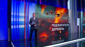 Депутат ГД Ивлев: Украина переходит к фашистским методам, планируя удары по РФ Депутат ГД Ивлев: Украина переходит к фашистским методам, планируя удары по РФ